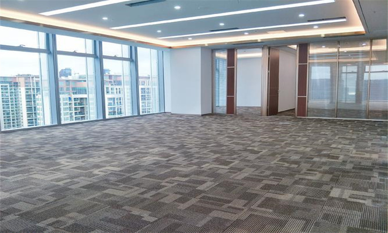 园洲镇全新红本标准厂房